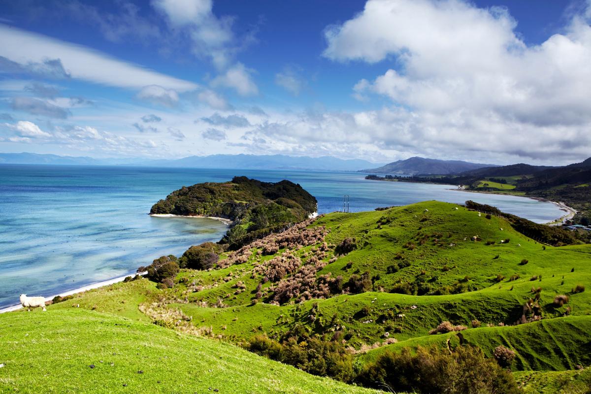 Viajar a Nueva Zelanda - Lonely Planet